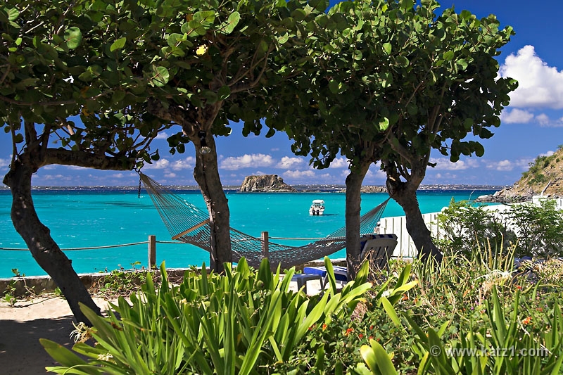 Paradise 1